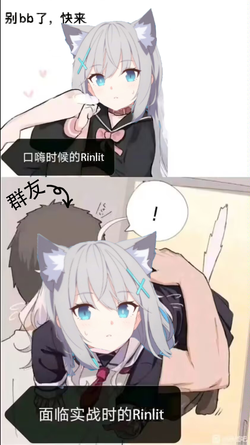 🥵 RinLit 的 Hub
