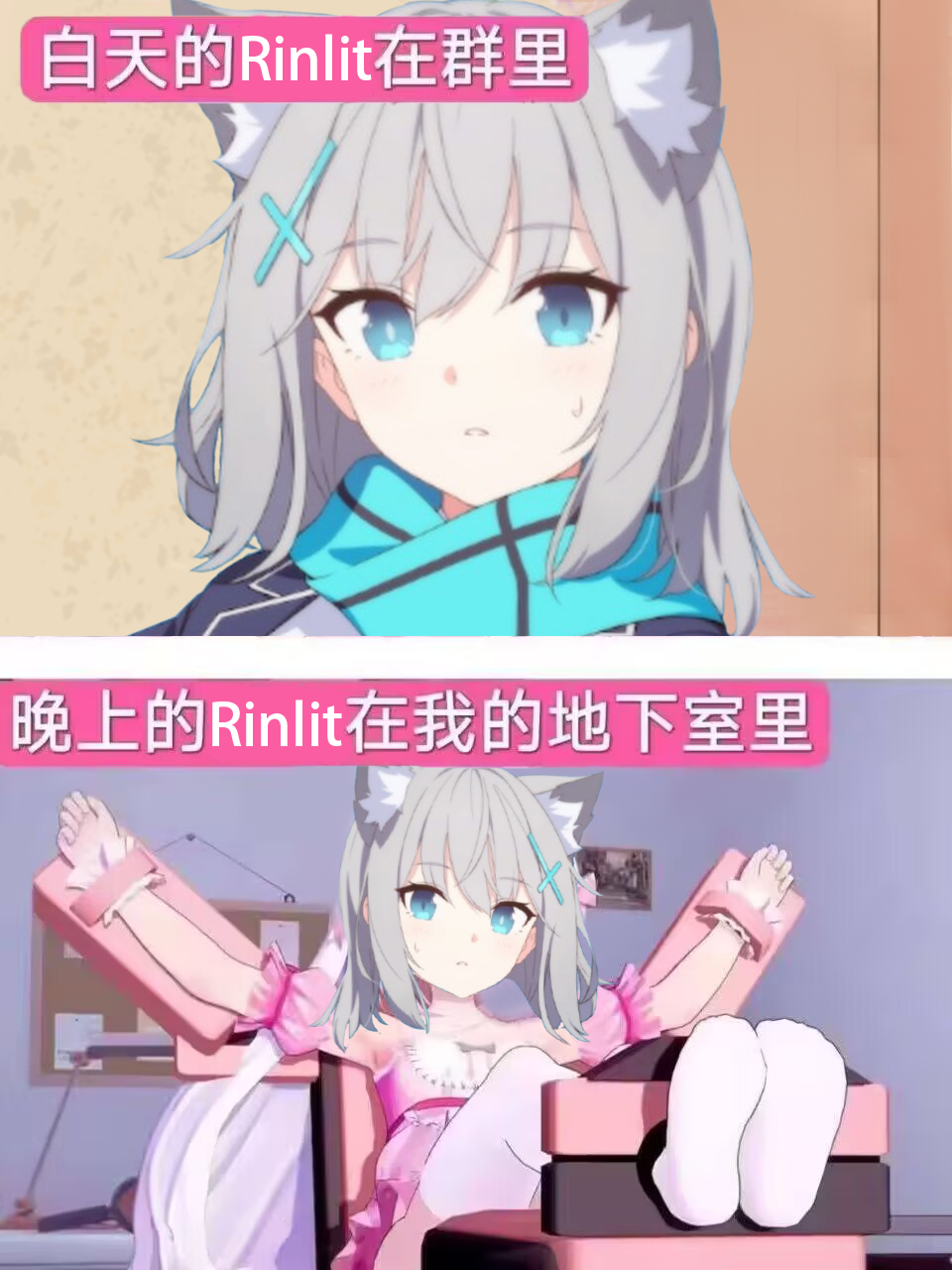 🥵 RinLit 的 Hub